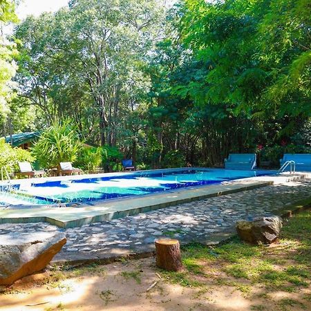 Jays Holiday Resort Habarana Kültér fotó
