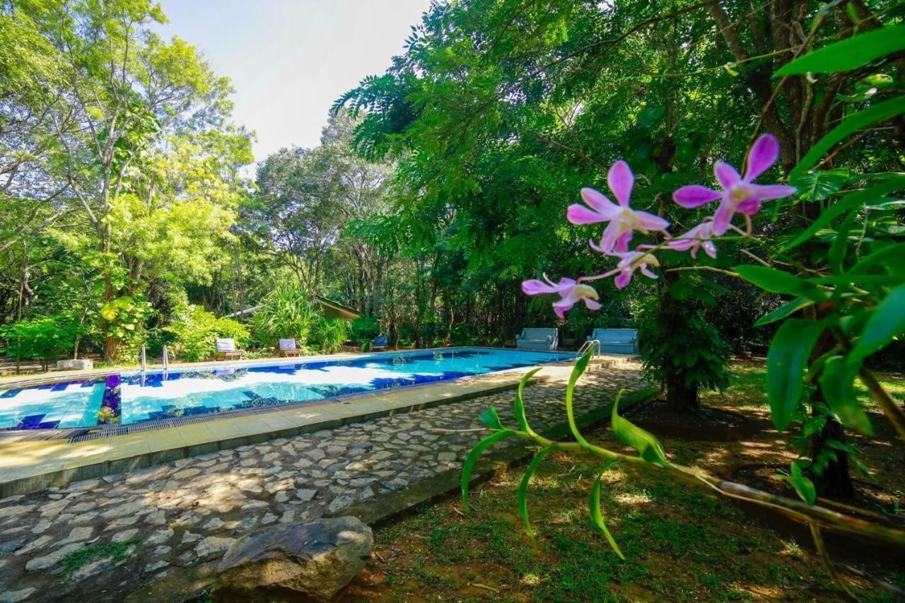 Jays Holiday Resort Habarana Kültér fotó